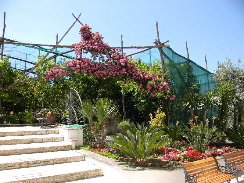 Oasi Madre Della Pace photo 1