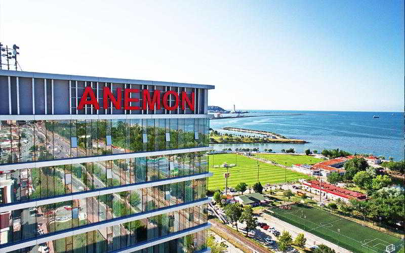Anemon Samsun 1