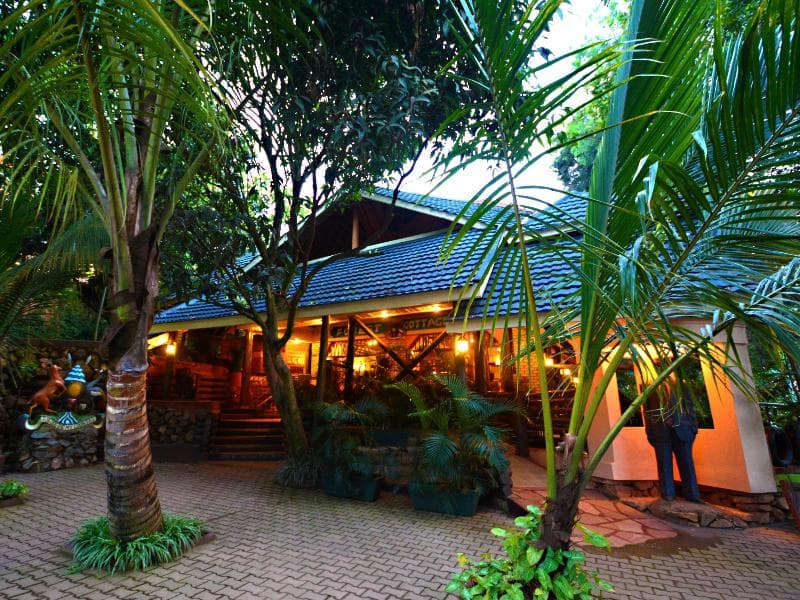 Forest Cottages 4