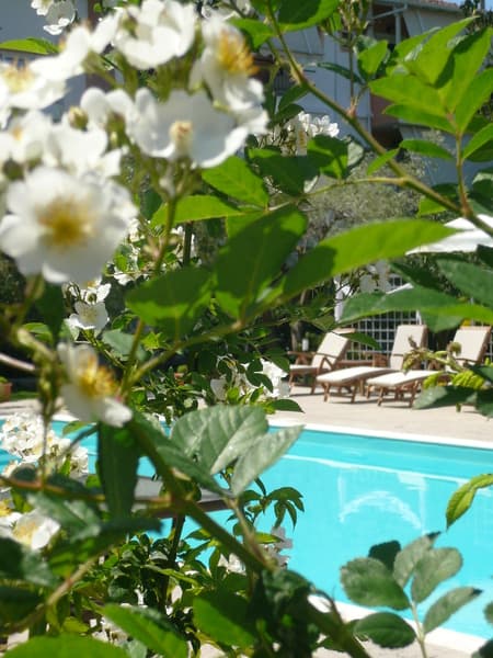 Avra Hotel main