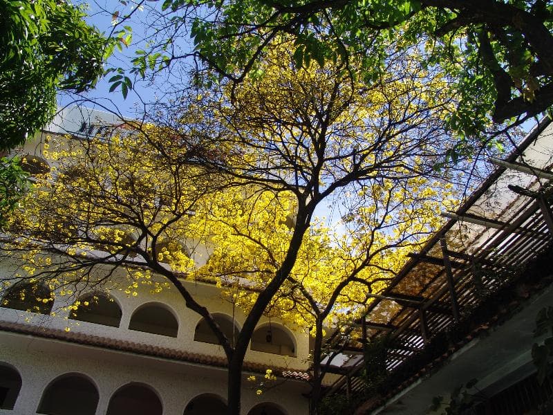 Hotel Chicala 2