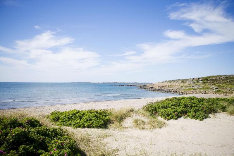 Comwell Koge Strand 3