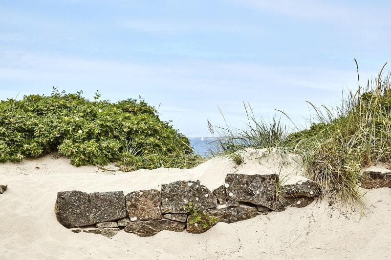 Comwell Koge Strand 5