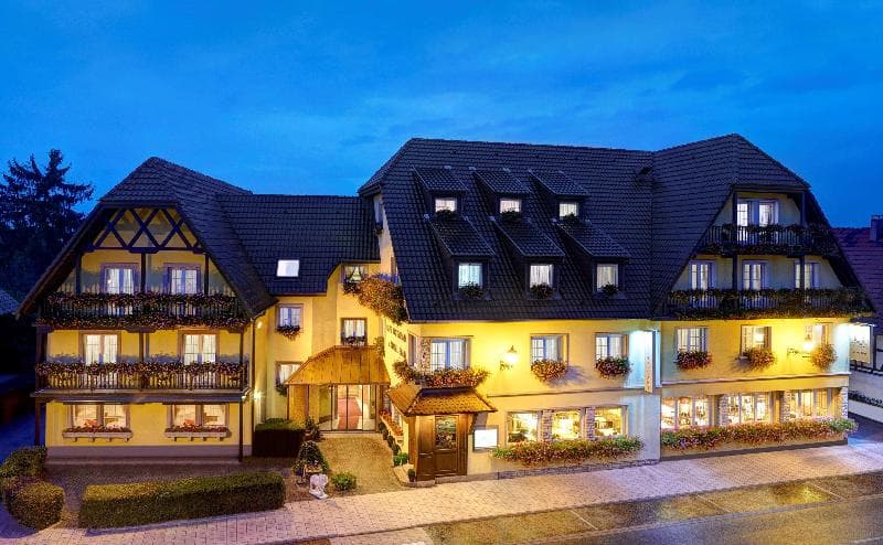 Best Western Plus Au Cheval Blanc Mulhouse Nord 4