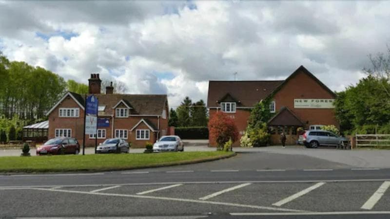 New Forest Lodge 4