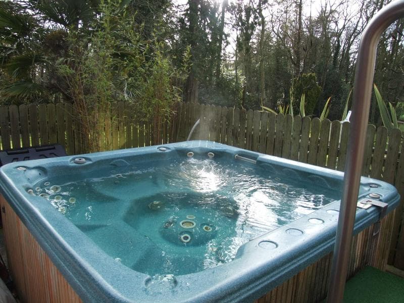 Ballymascanlon House Hotel 3