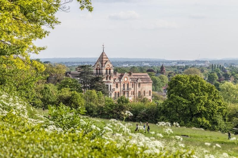 The Petersham 5