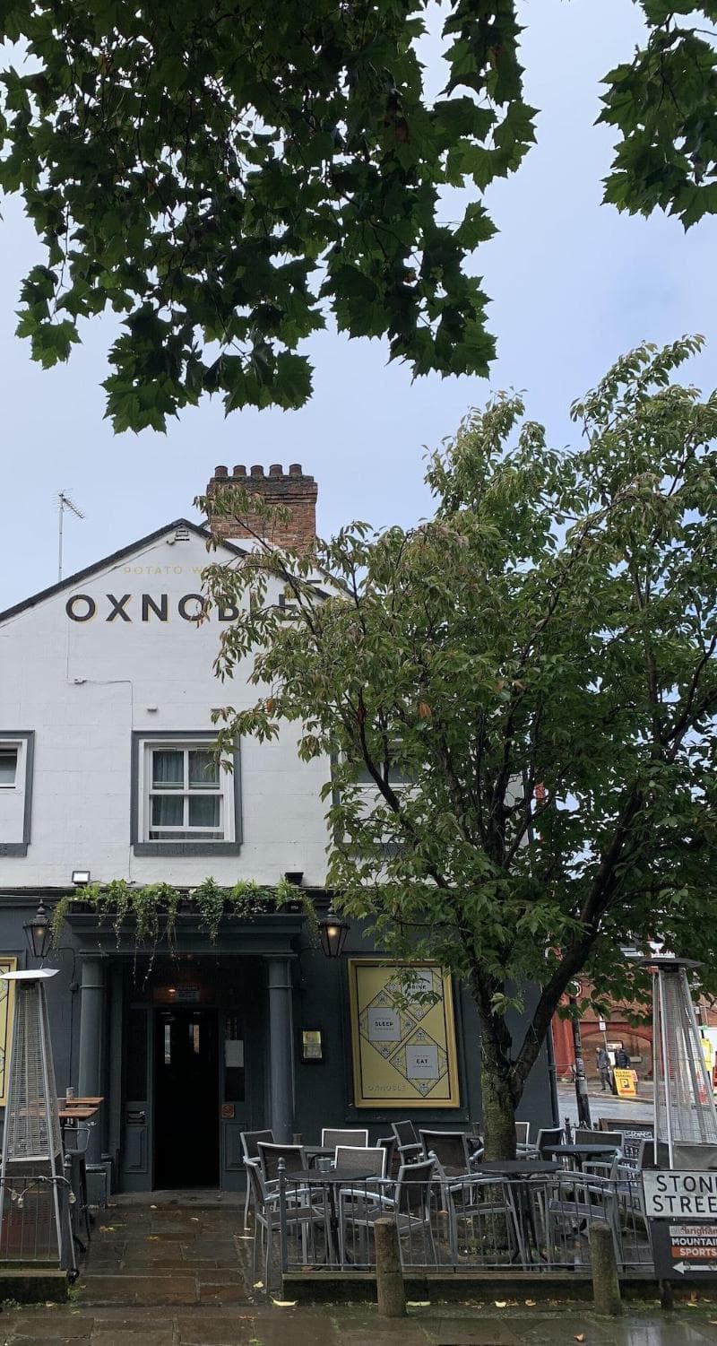 The Ox Noble 5