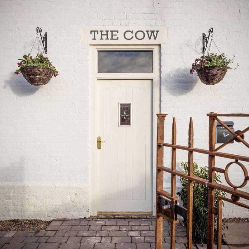 The Black Cow 5