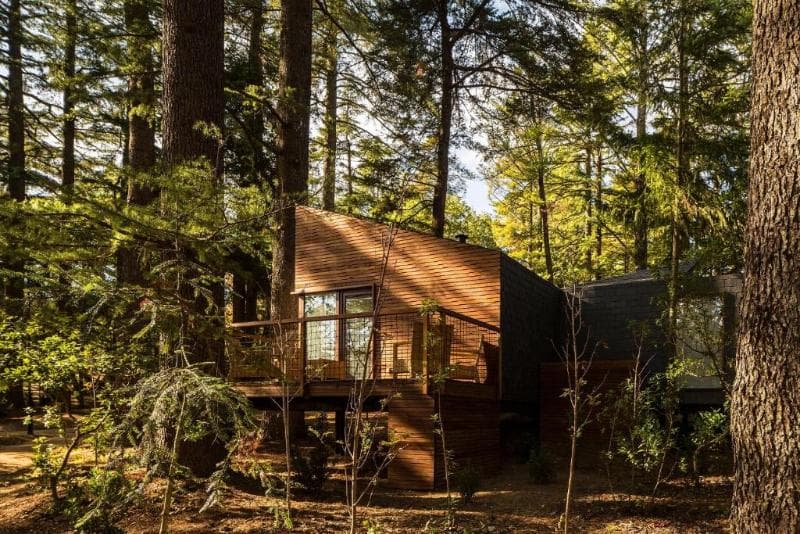 Pedras Salgadas Spa and Nature Park 3