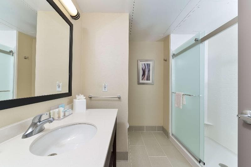 Hampton Inn & Suites Des Moines Downtown 4