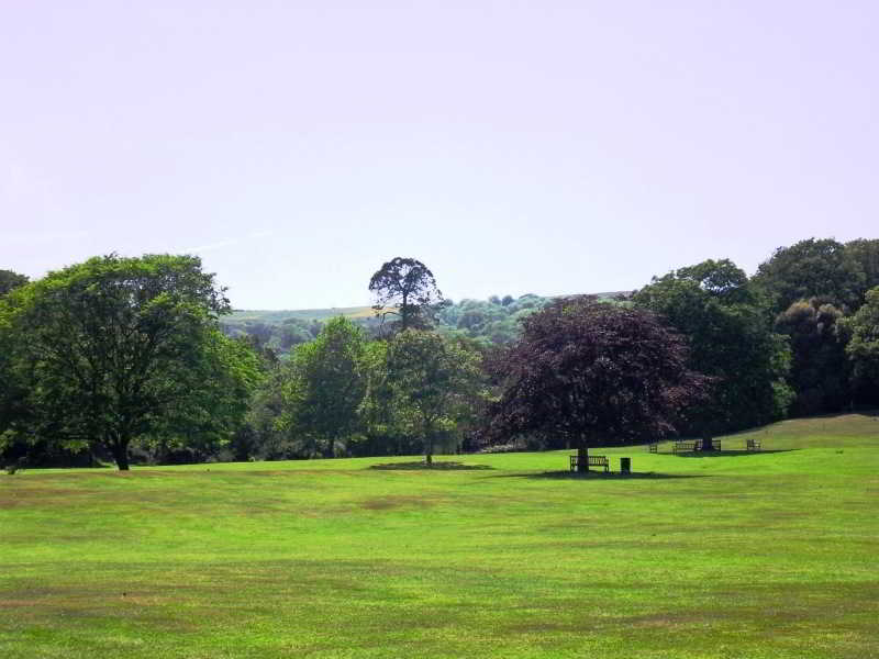 Luccombe Hall Country House Hotel 5