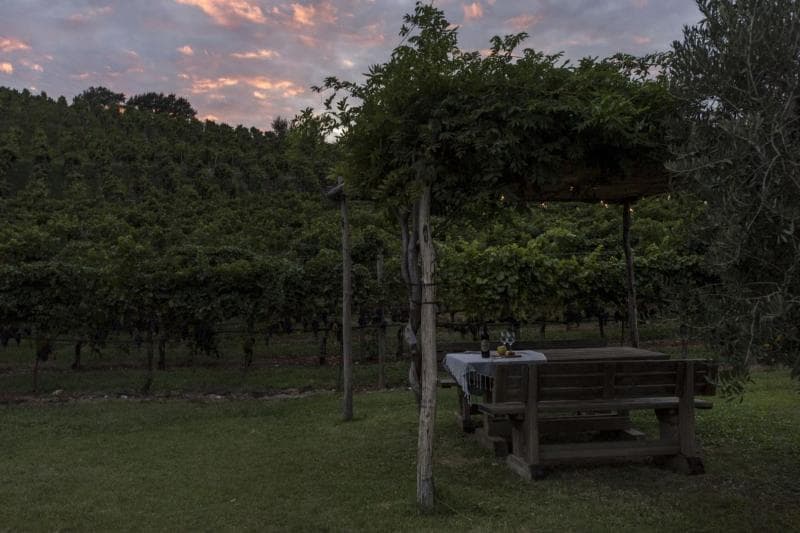 Residence La Vigna photo 1
