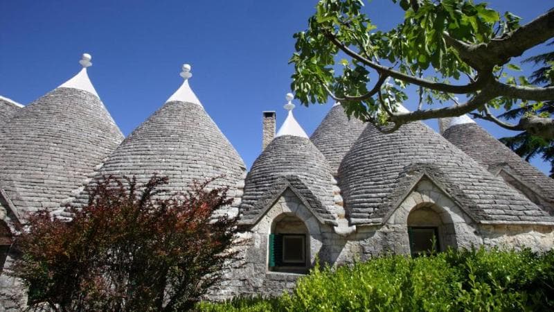 Tenuta Monacelle 3