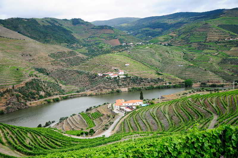 Hotel Rural Quinta Do Pego photo 1
