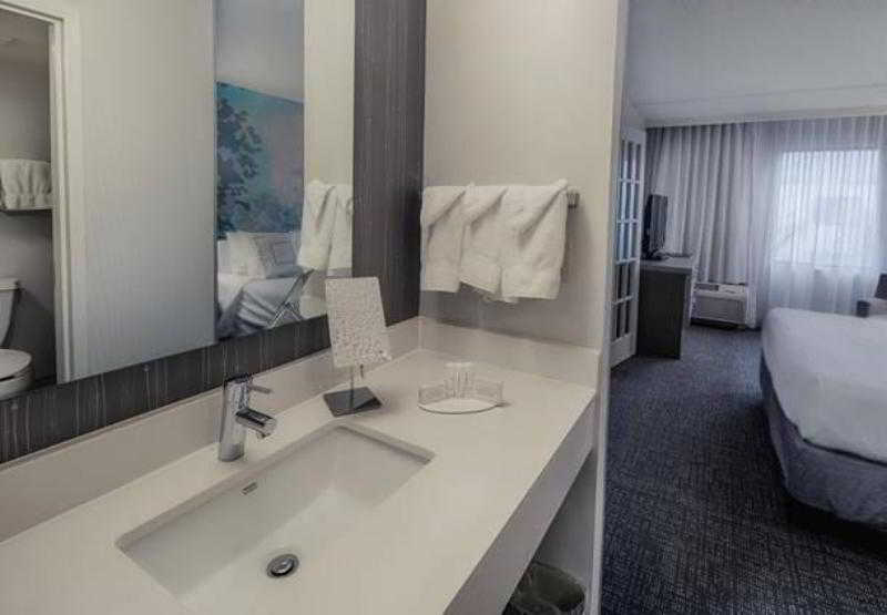 Courtyard By Marriott Dallas Dfw Airport North I 4