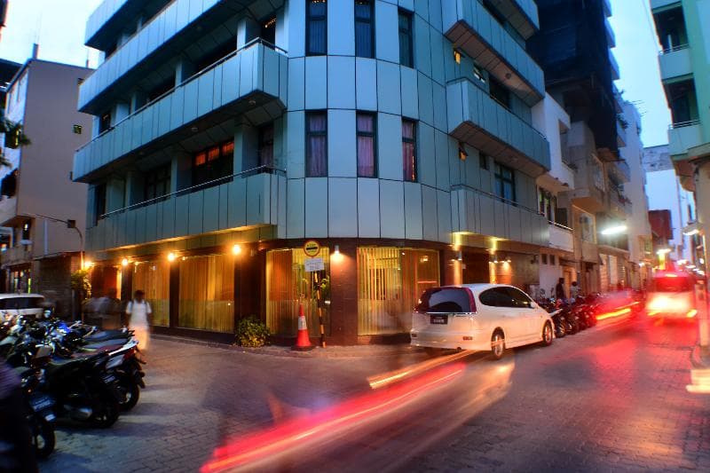 The Beehive 3