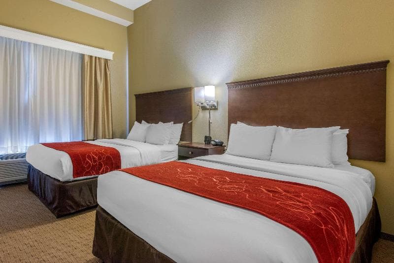 Comfort Suites Sarasota-Siesta Key 4