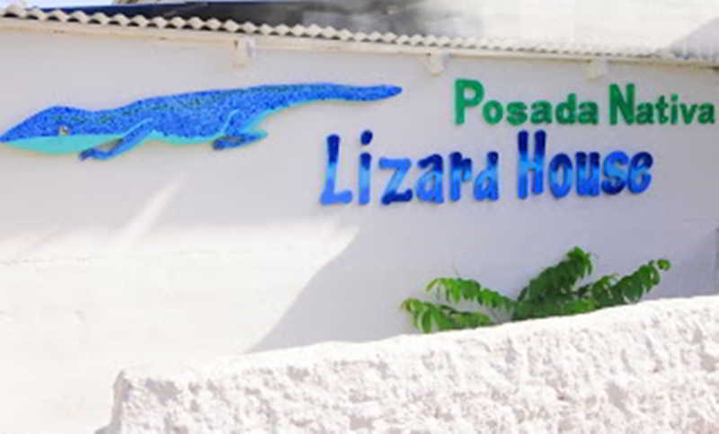 Posada Nativa Lizard House main