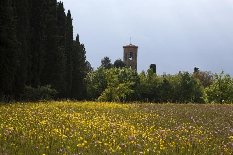 Agriturismo La Topaia main