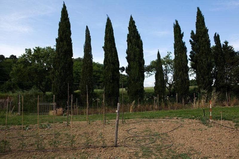 Agriturismo La Topaia 3