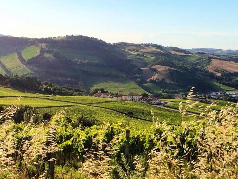 Borgo Conde Wine Resort 3