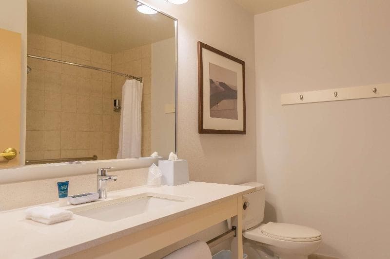 Lakeview Signature, Trademark Collection by Wyndham 4