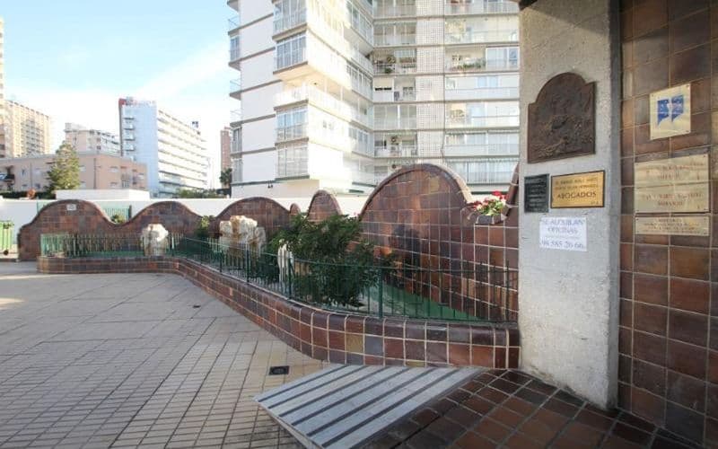 Apartamentos San Jaime Center Suites photo 1