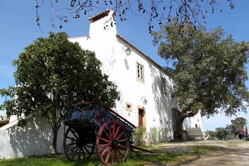 Quinta Dos Ribeiros 4