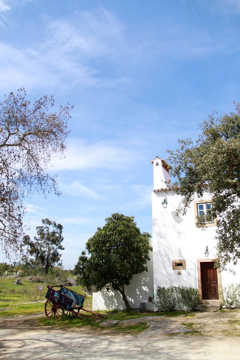 Quinta Dos Ribeiros 5
