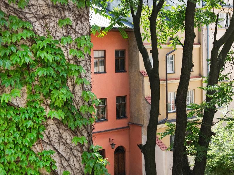Antique Apartments Old Town main