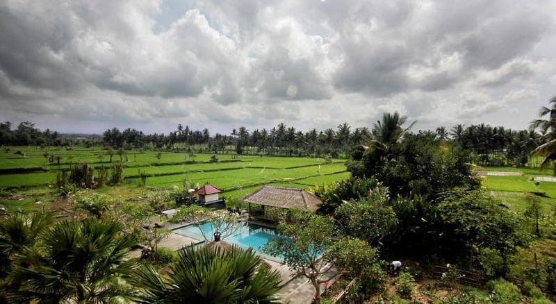Suly Vegetarian Resort Yoga & Spa 3