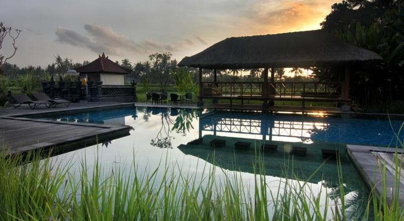 Suly Vegetarian Resort Yoga & Spa 4