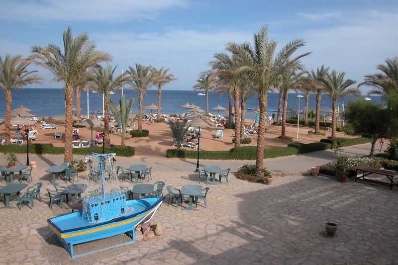 Queen Sharm Resort photo 1