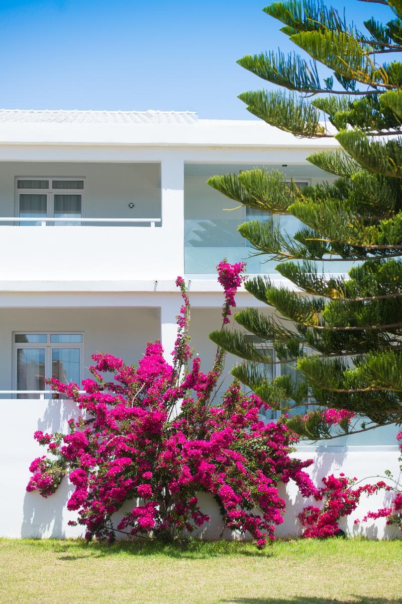 Isla Brown Resort Chania, Curio Collection By Hil 4