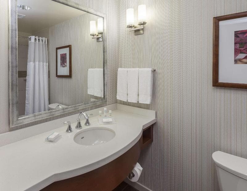 Hilton Garden Inn Alexandria Old Town National Harbor 5