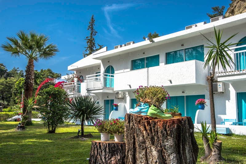 Pine Trees Art Hotel photo 1