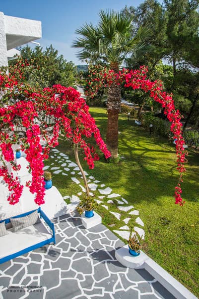 Pine Trees Art Hotel 4