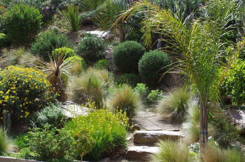 De La Fossette 1