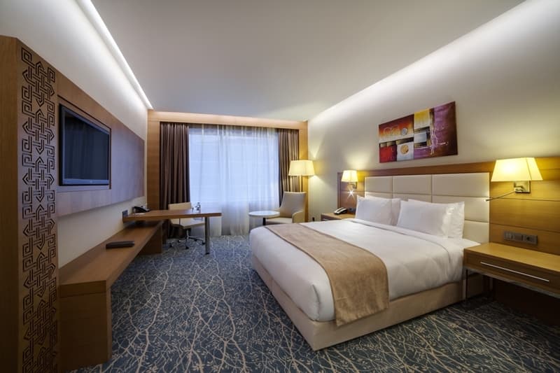 Holiday Inn Baku photo 1