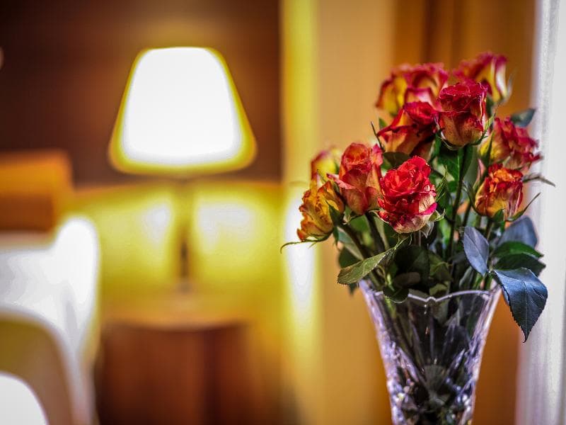 The Monarch Hotel 5