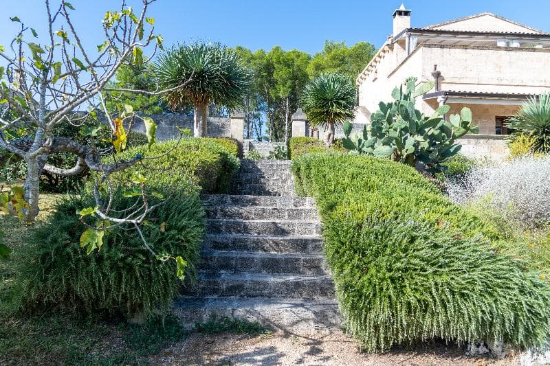 Masseria Caliani 5