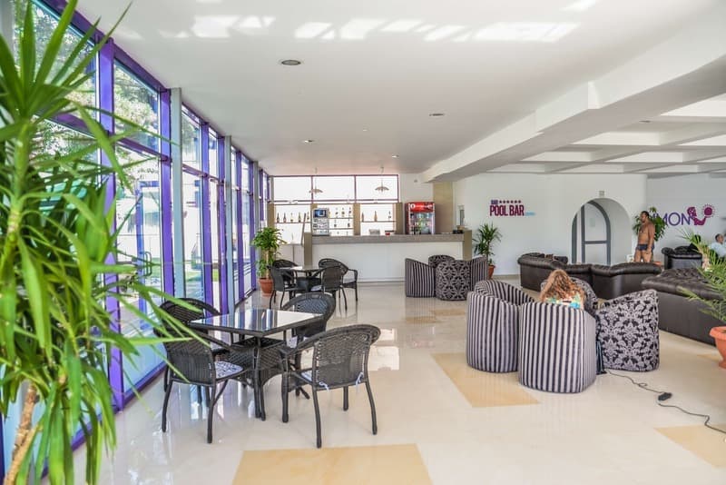 Ibis Styles Venus 5