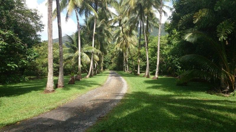 Cape Trib Farmstay 3