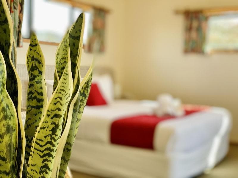 Pacific Harbour Villas 4
