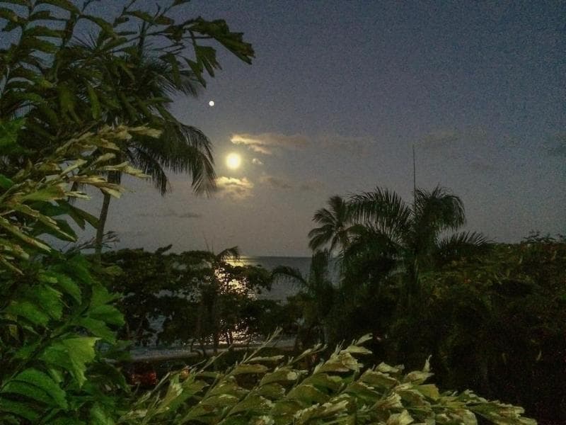 Roydon Beachfront Holiday photo 1