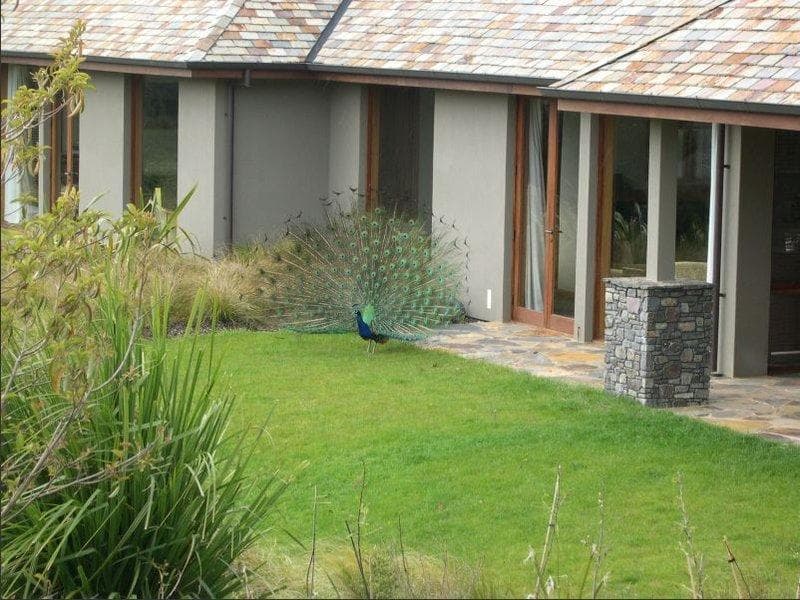 Treetops Lodge & Estate photo 1