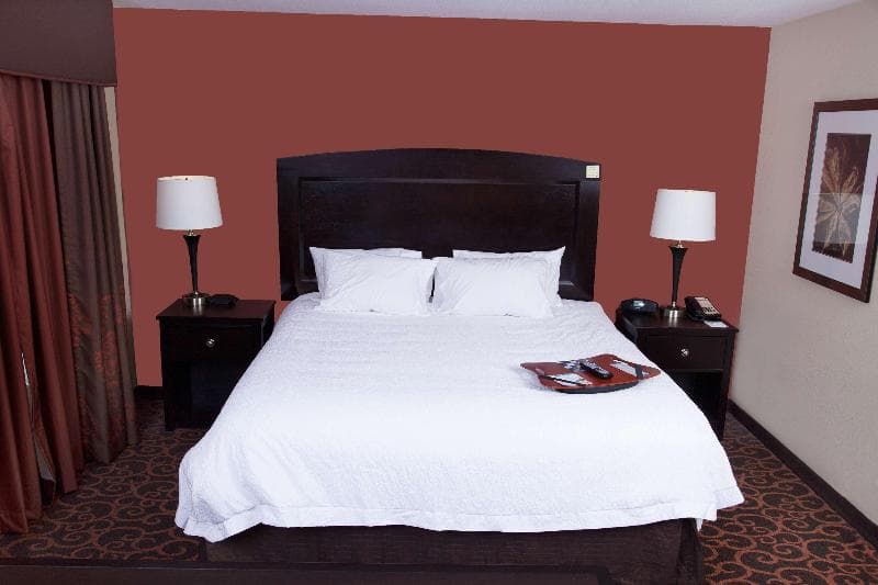 Hampton Inn & Suites Dickinson photo 1