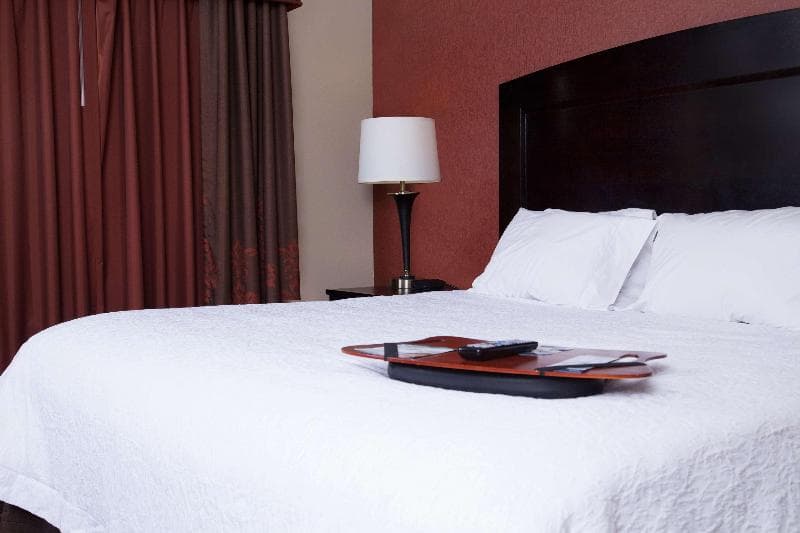 Hampton Inn & Suites Dickinson 4