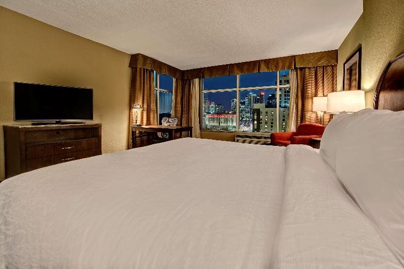 Hilton Garden Inn Nashville Downtown/Convention Center 4